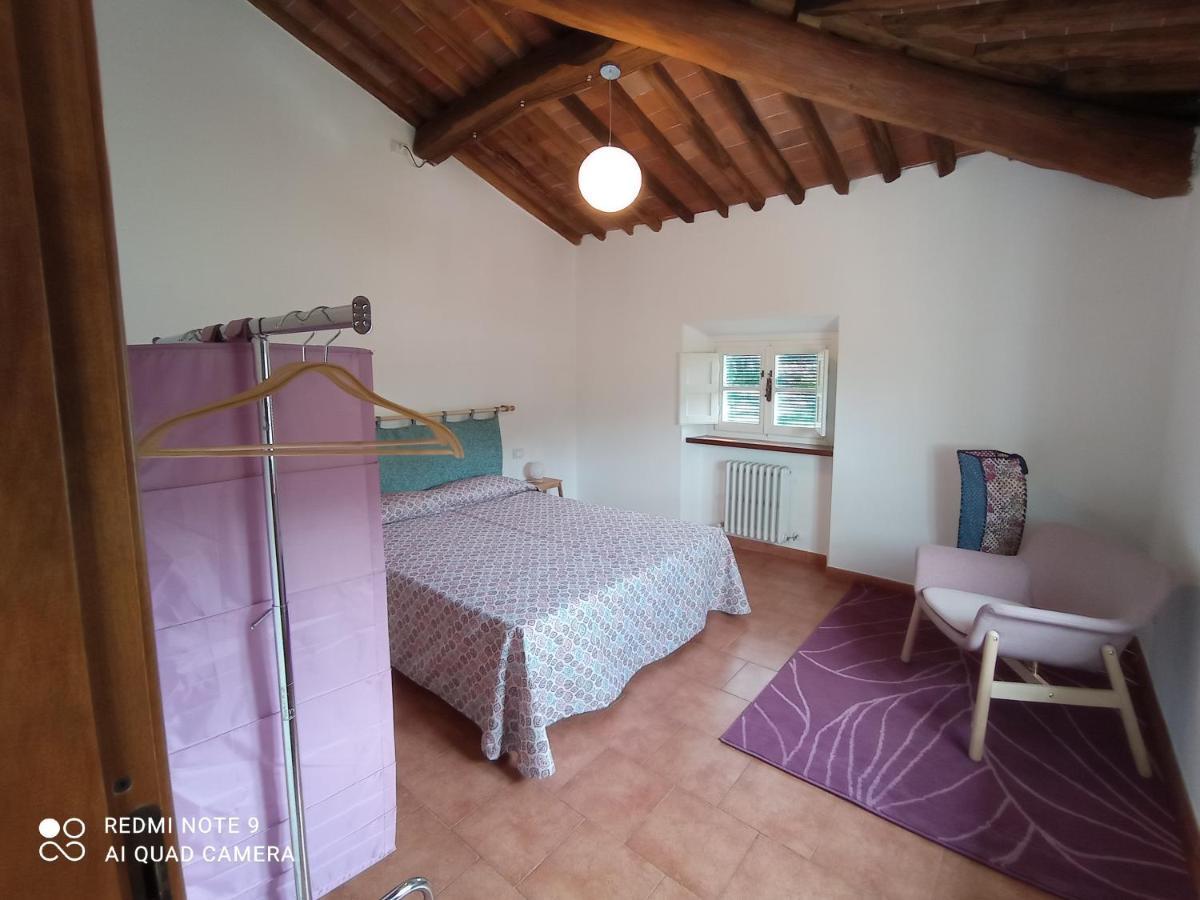 La Terrazza Del Vecchio Mulino Apartment Sant'Andrea di Compito ภายนอก รูปภาพ